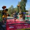 DSC02637.jpg