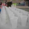 DSC00805.jpg