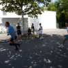DSC04371.jpg